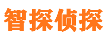 东海岛市婚姻出轨调查